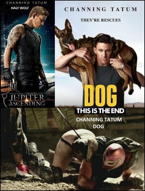 http://napkapu.hupont.hu/felhasznalok_uj/2/9/292272/kepfeltoltes/channing_tatum_-_dog.jpg?93277327