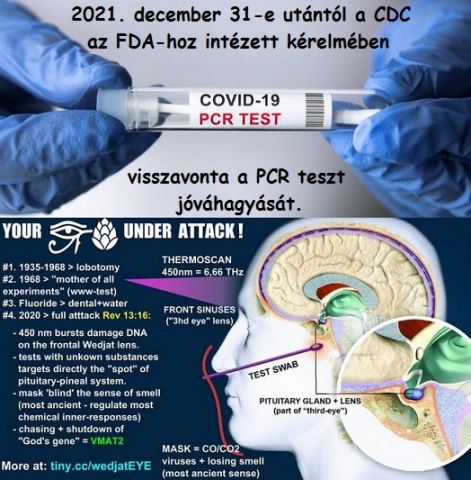 http://napkapu.hupont.hu/felhasznalok_uj/2/9/292272/kepfeltoltes/pcr_visszavonas-_pineal_gland.jpg?76261028