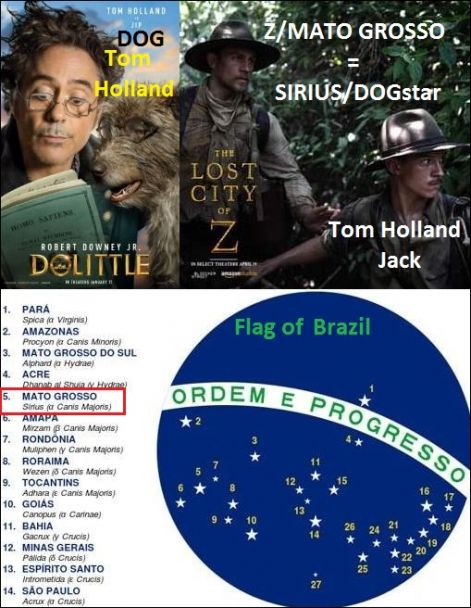 http://napkapu.hupont.hu/felhasznalok_uj/2/9/292272/kepfeltoltes/tom_holland_-_mato_grosso_dogstar.jpg?93223492